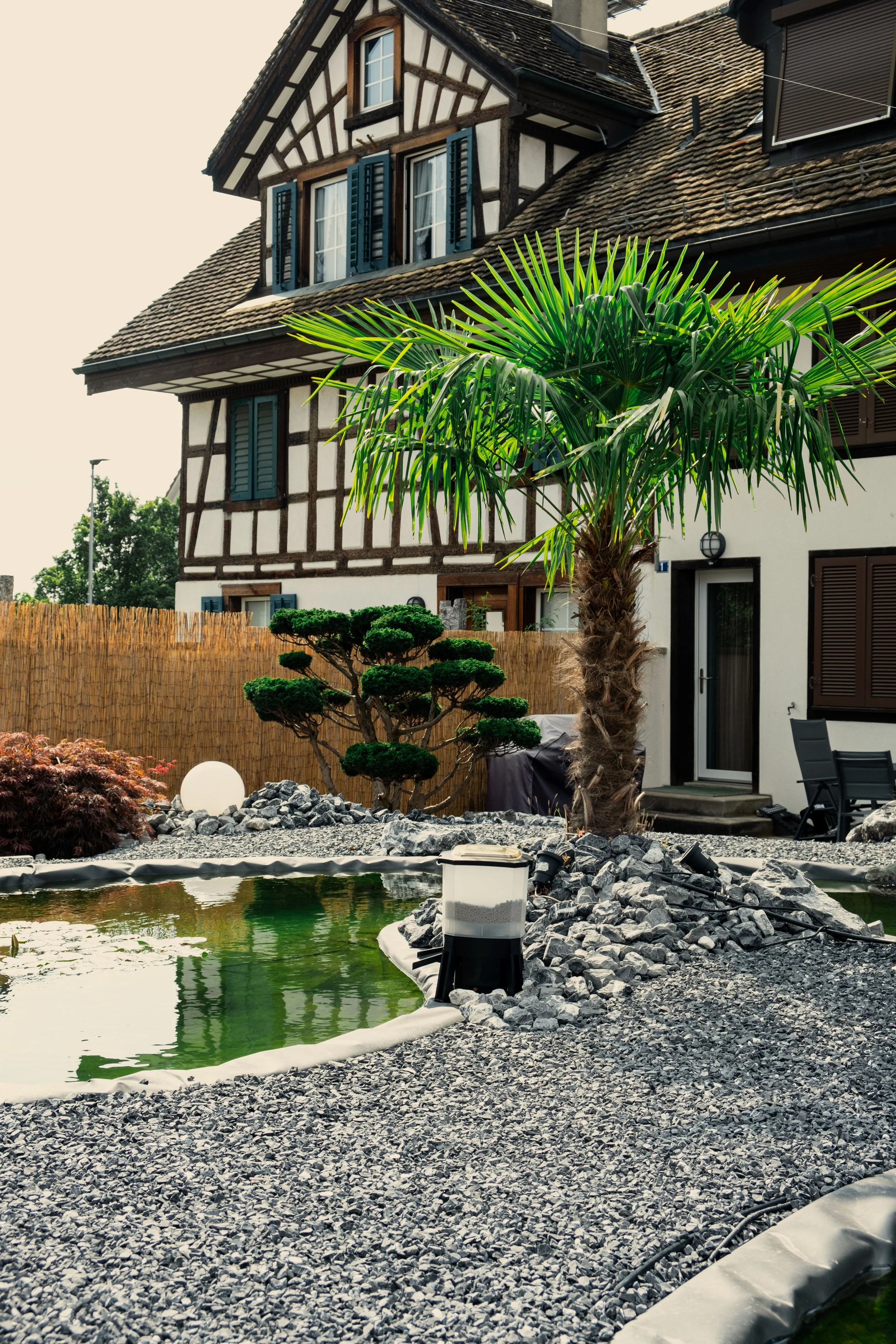 Fertiges Gartenprojekt mit Teich und Palme bei einem Fachwerkhaus